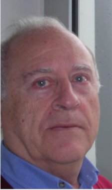 Luis Navarro Veguillas