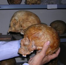 En primer plano un cr�neo femenino, en segundo plano uno masculino