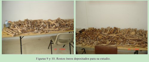 Figuras 9 y 10. Restos �seos