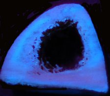 Figura 11. Fluorescencia u.v.de corte �seo