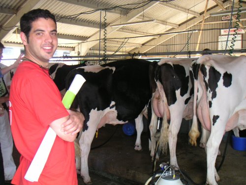 Gregorio en una explotación con vacas Gregorio en una explotación con vacas