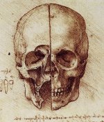 Estudio anatómico del cráneo, por Leonardo da Vinci