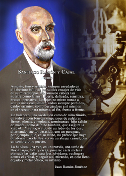 Contraportada Pasaje 11